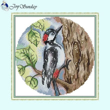 Load image into Gallery viewer, DIY Bird Series Cross Stitch Kit - Stamped Canvas 11ct, 14ct, 16ct for Handmade Embroidery Gifts
