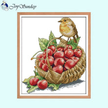 Load image into Gallery viewer, Birdie and Cheeries DIY Cross Stitch - AIMDIY
