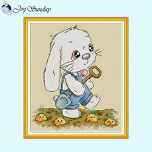 Load image into Gallery viewer, DIY Crafts Four Seasons Rabbit - AIMDIY
