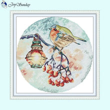 Load image into Gallery viewer, Frosty Snowy Night Lamp Bird Cross Stitch Kits For Beginners - AIMDIY
