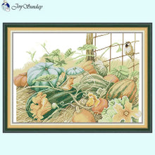 Load image into Gallery viewer, Pumpkin Pattern Cross Stitch Kits - Joy Sunday - AIMDIY
